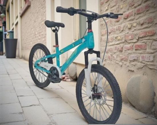 صورة دراجة أطفال رياضية مقاس 20